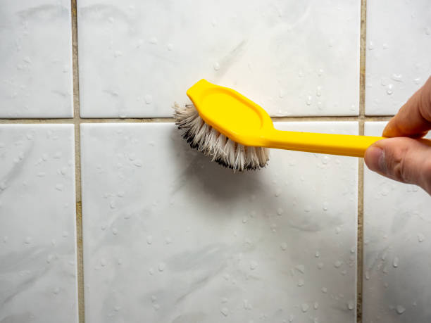 Best Mold Cleaning Services  in Donalsonville, GA
